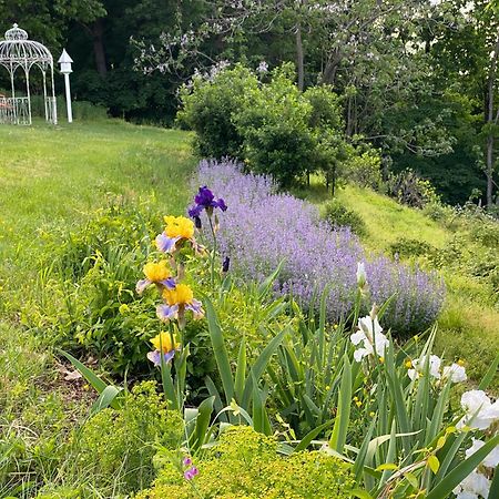 La Soledad Lavender Farm And Guesthouse Harpers Ferry Exterior foto